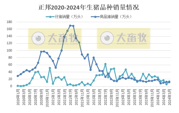 天康、正邦、京基和傲农2024年5月生猪销售情况