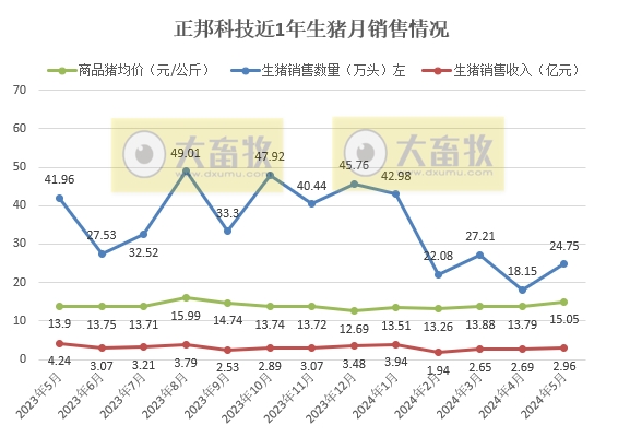 天康、正邦、京基和傲农2024年5月生猪销售情况