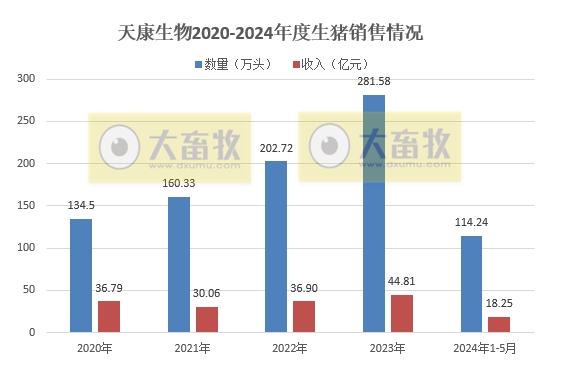 天康、正邦、京基和傲农2024年5月生猪销售情况