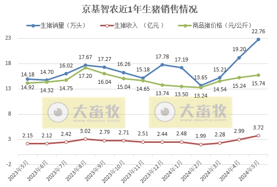 天康、正邦、京基和傲农2024年5月生猪销售情况