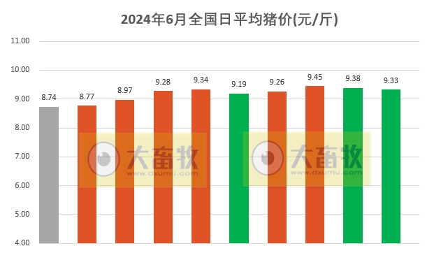 2024.06.10今日猪价——超半数省份出现小幅下跌