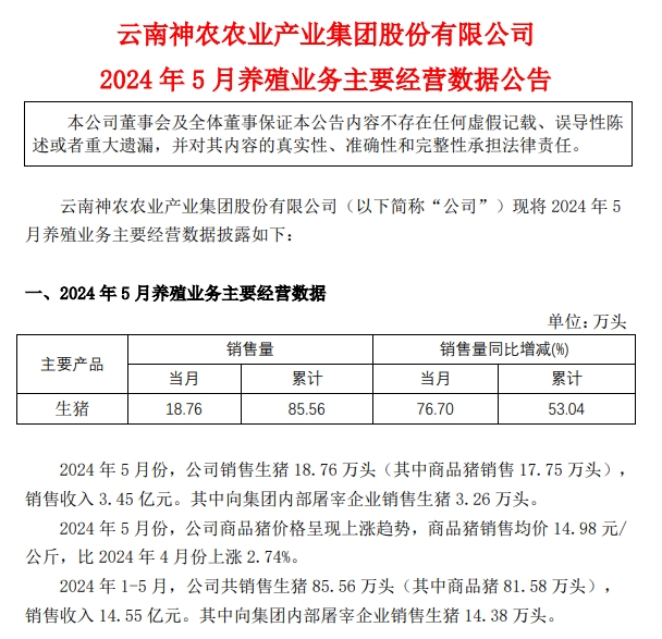 神农、金新农、东瑞和正虹2024年5月生猪销售情况