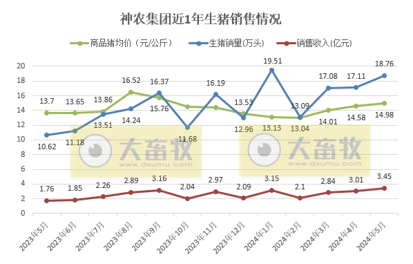 神农、金新农、东瑞和正虹2024年5月生猪销售情况