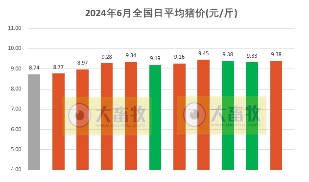 2024.06.11今日猪价——大部分省份出现上涨