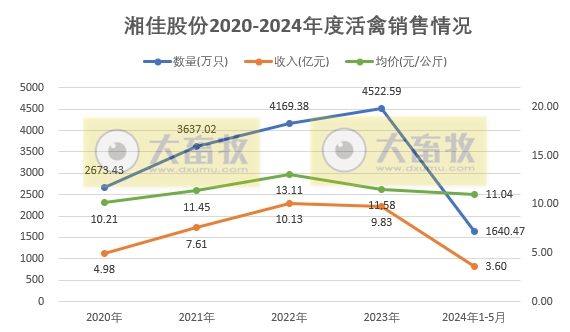 温氏、立华和湘佳2024年5月肉鸡销售情况