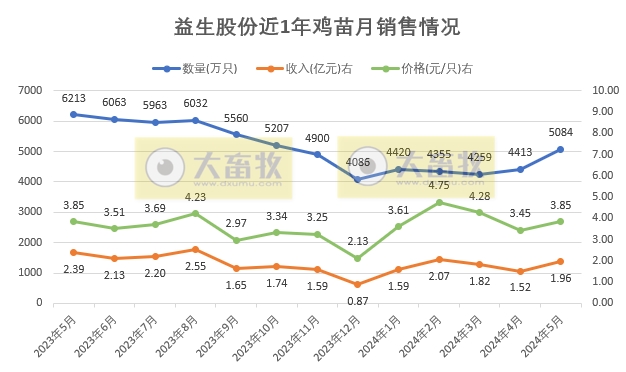 益生、民和和晓鸣2024年5月鸡苗销售情况