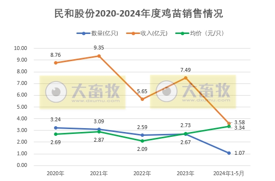 益生、民和和晓鸣2024年5月鸡苗销售情况