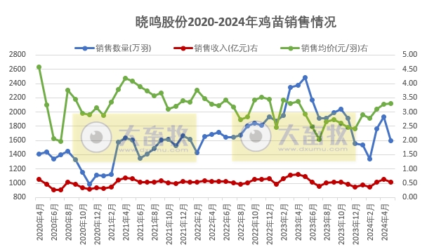 益生、民和和晓鸣2024年5月鸡苗销售情况