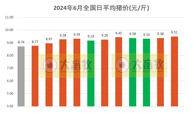 2024.06.12今日猪价——一路飘红，多省突破10元