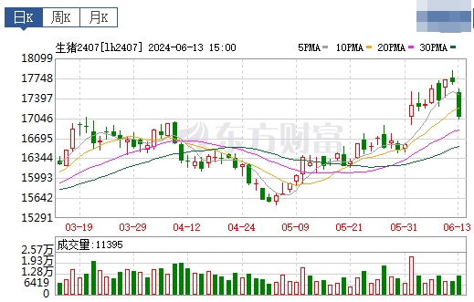 2024.06.14今日猪价——绝大多数省份下跌