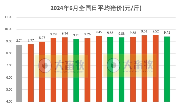 2024.06.14今日猪价——绝大多数省份下跌
