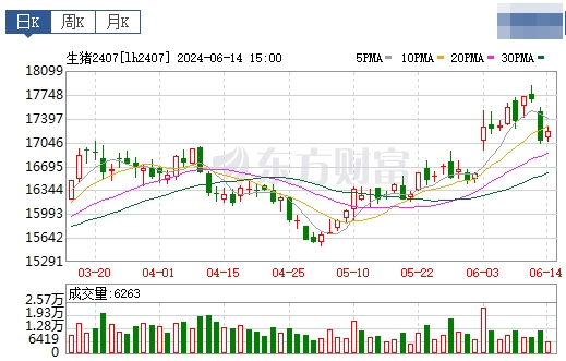 2024.06.15今日猪价——绝大多数继续下跌