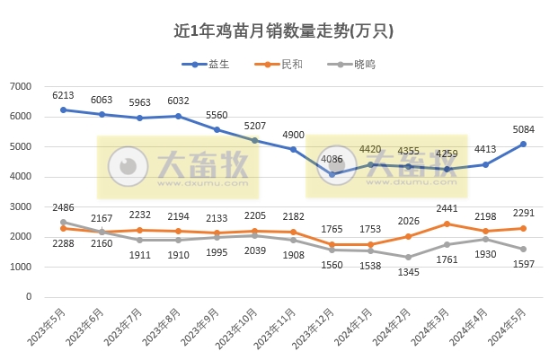 8家上市家禽企业2024年5月肉鸡和鸡苗销售情况PK