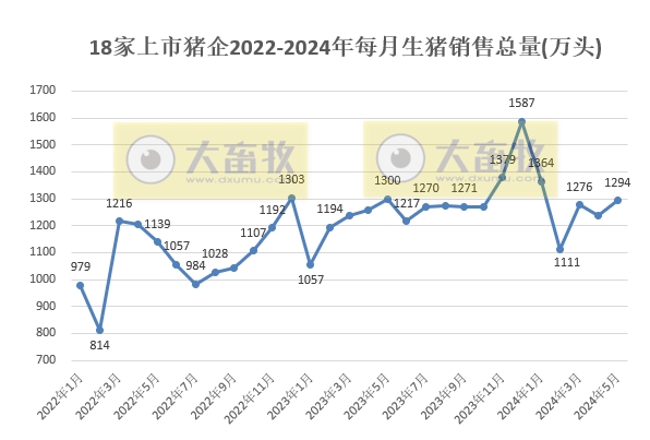 18家上市猪企2024年5月生猪销量约1300万头,环比增长4.5%