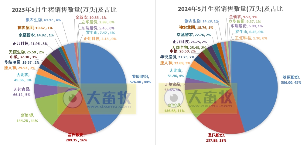 18家上市猪企2024年5月生猪销售业绩和生产指标PK