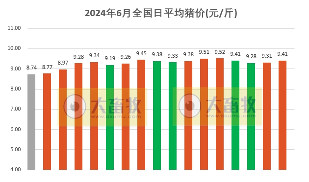 2024.06.17今日猪价——一路飘红