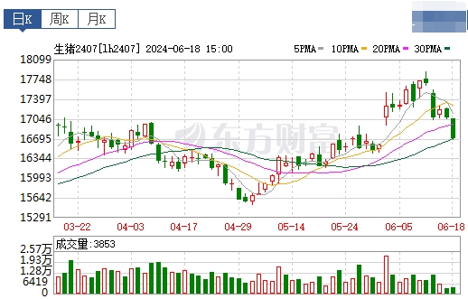 2024.06.19今日猪价——绝大多数出现下跌