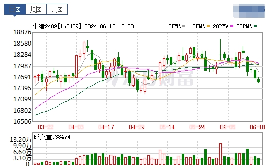 2024.06.19今日猪价——绝大多数出现下跌