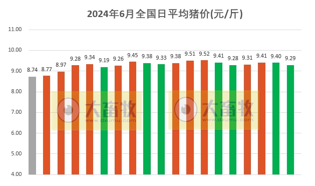 2024.06.19今日猪价——绝大多数出现下跌