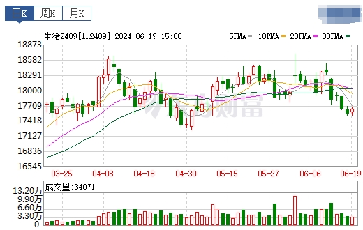 2024.06.20今日猪价——继续飘绿