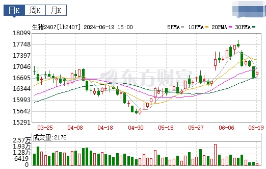 2024.06.20今日猪价——继续飘绿
