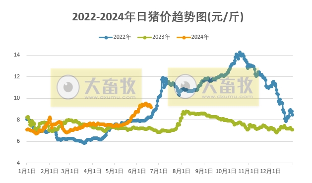 2024.06.20今日猪价——继续飘绿