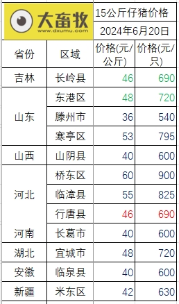 2024.06.20今日猪价——继续飘绿