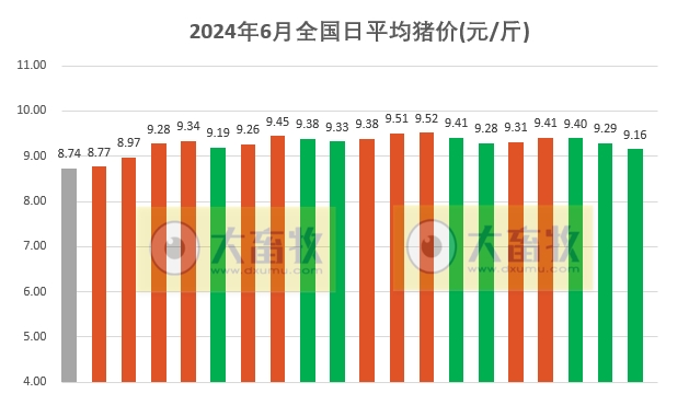 2024.06.20今日猪价——继续飘绿