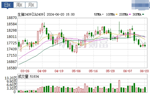 2024.06.21今日猪价——大多数止跌回升