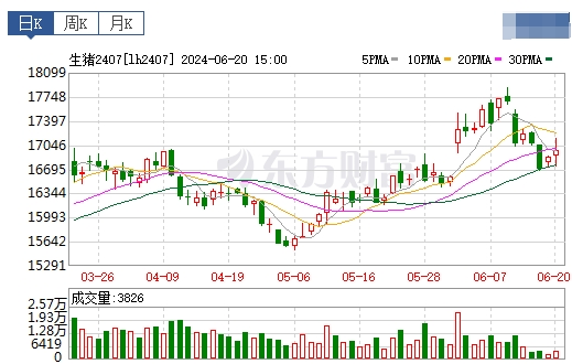 2024.06.21今日猪价——大多数止跌回升
