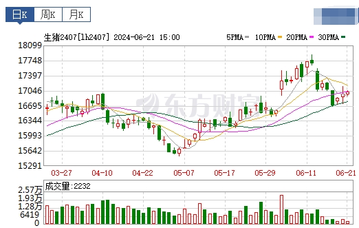 2024.06.22今日猪价——快速反转回落