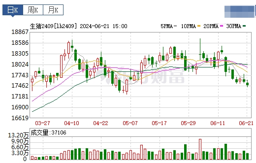 2024.06.22今日猪价——快速反转回落