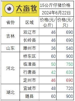 2024.06.22今日猪价——快速反转回落