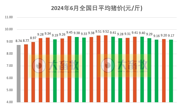 2024.06.22今日猪价——快速反转回落