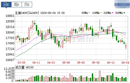 2024.06.25今日猪价——连跌4天,跌至6月以来最低价