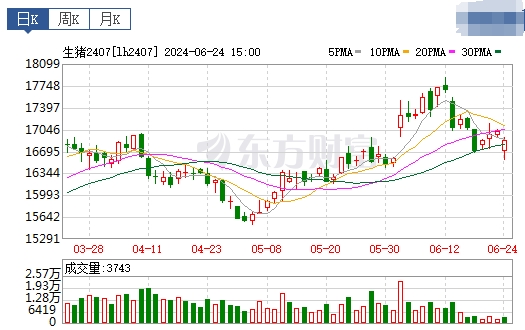 2024.06.25今日猪价——连跌4天,跌至6月以来最低价