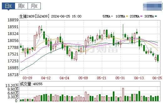 2024.06.26今日猪价——大面积止跌反弹上涨