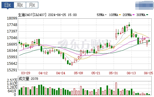 2024.06.26今日猪价——大面积止跌反弹上涨