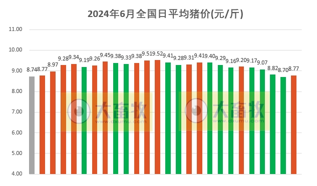 2024.06.26今日猪价——大面积止跌反弹上涨