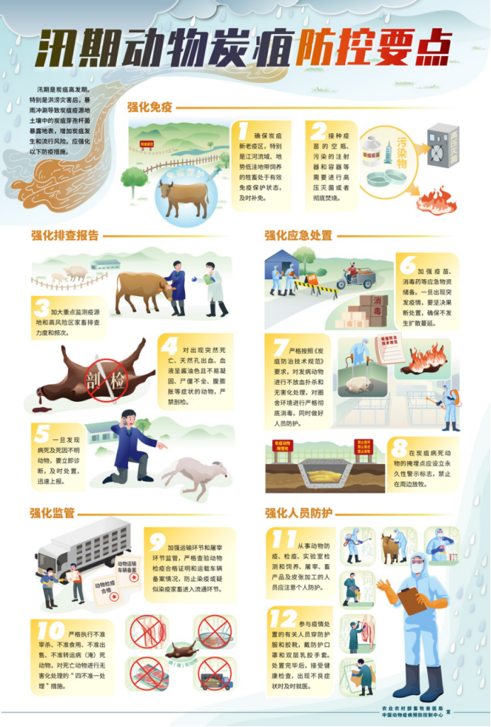 官方发布最新《汛期动物疫病防控应对措施指引》