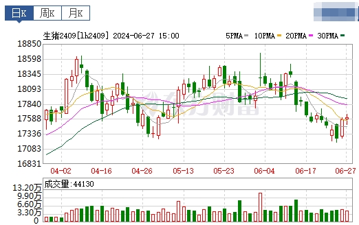 2024.06.28今日猪价——多地出现下跌