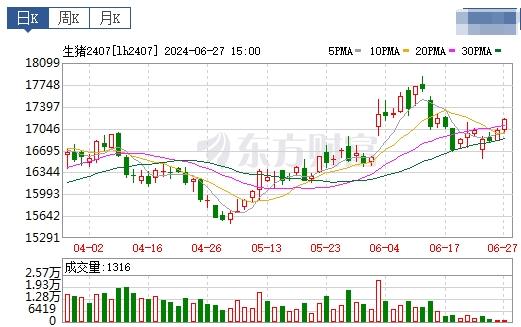2024.06.28今日猪价——多地出现下跌