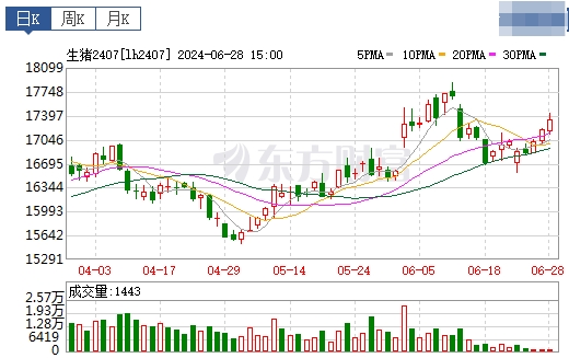 2024.06.29今日猪价——止跌反弹，一路飘红