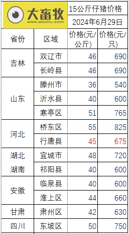 2024.06.29今日猪价——止跌反弹，一路飘红