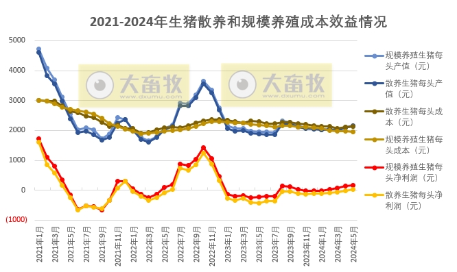 2024年5月生猪养殖成本和收益情况