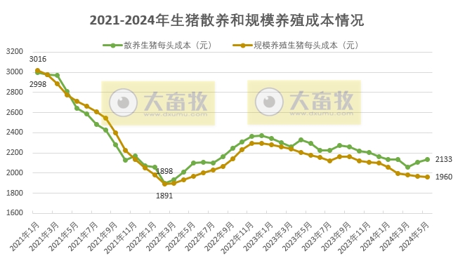 2024年5月生猪养殖成本和收益情况