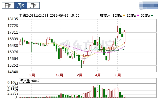 2024.06.30今日猪价——6月以全面上涨收官