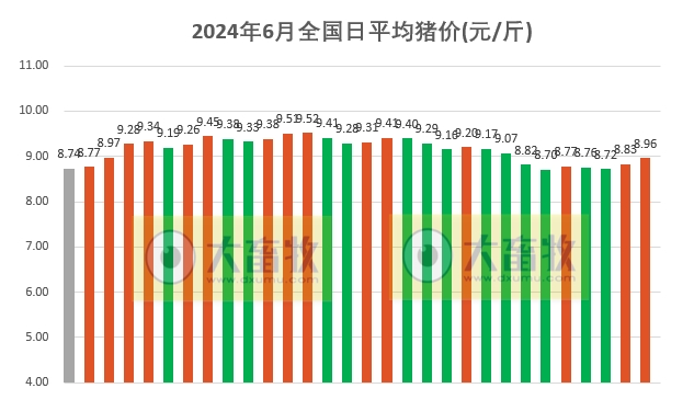 2024年6月全国平均猪价跳跃上涨至9元，连续3个月环比上涨，且为近18个月最高价