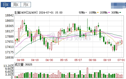2024.07.02今日猪价——震荡小幅回落