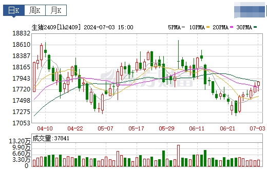 2024.07.04今日猪价——大多数上涨，有26省突破9元